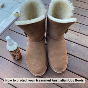 Ugg Boot and Suede Protector